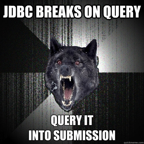 jdbc breaks on query query it
into submission  Insanity Wolf