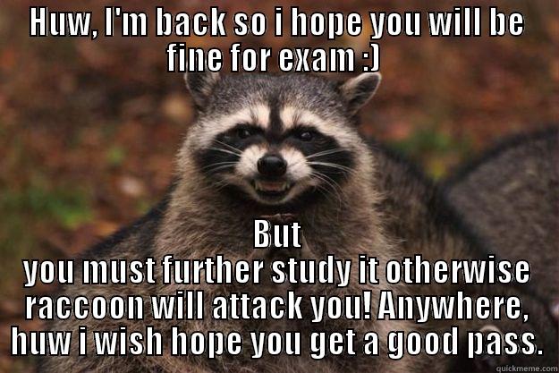 HUW, I'M BACK SO I HOPE YOU WILL BE FINE FOR EXAM :)  BUT YOU MUST FURTHER STUDY IT OTHERWISE RACCOON WILL ATTACK YOU! ANYWHERE, HUW I WISH HOPE YOU GET A GOOD PASS. Evil Plotting Raccoon