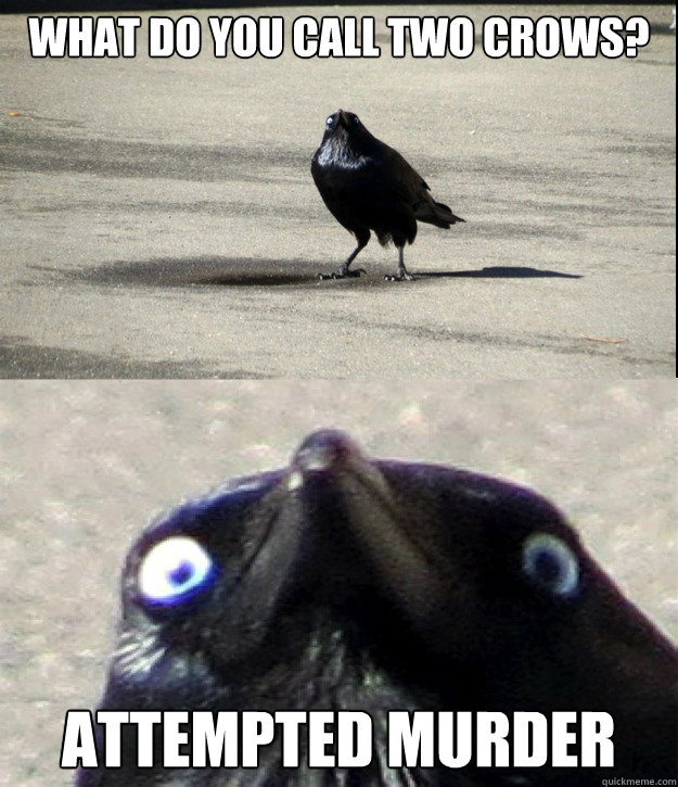 What do you call two crows? ATTEMPTED MURDER  