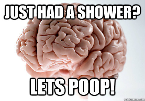 Just had a shower? Lets poop!  ScumbagBrain