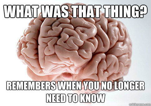 What was that thing? Remembers when you no longer need to know  Scumbag Brain