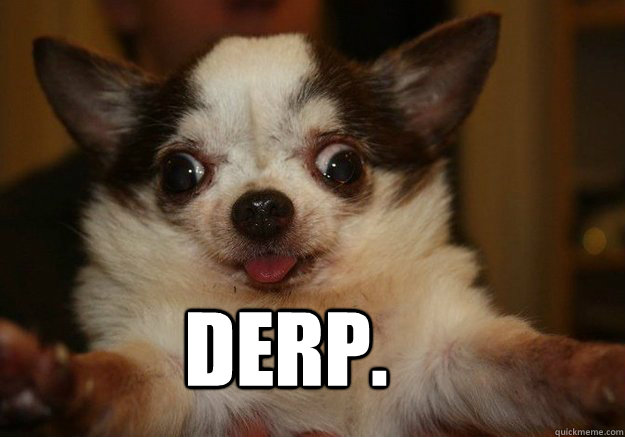DERP. - DERP.  retarded dog