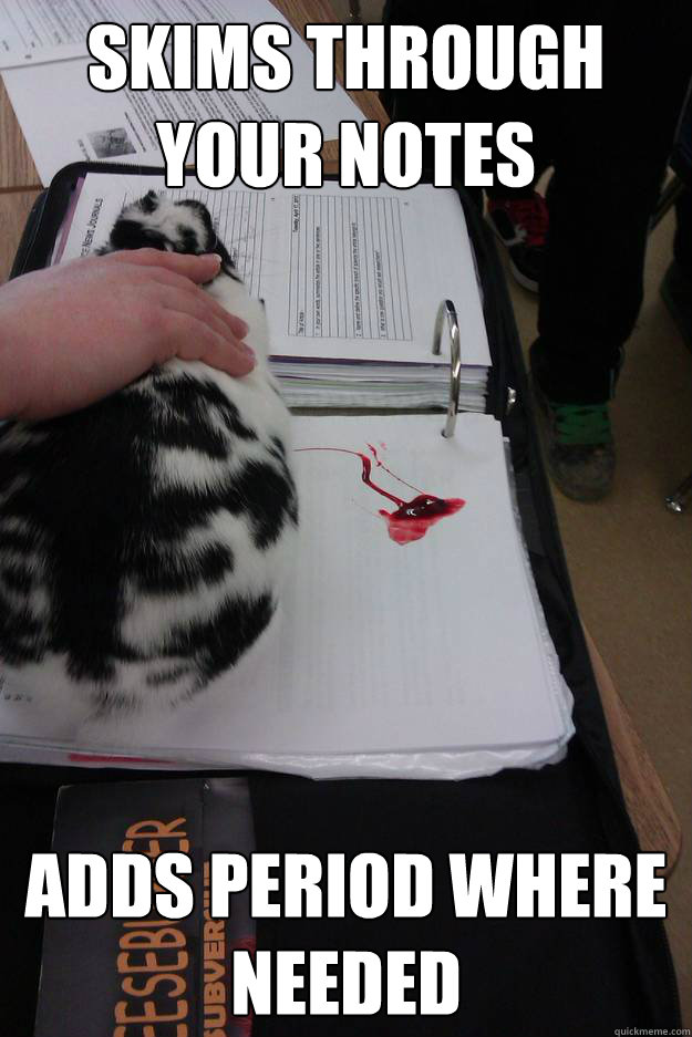 Skims through your notes Adds period where needed  Good Girl Menstruating Rabbit