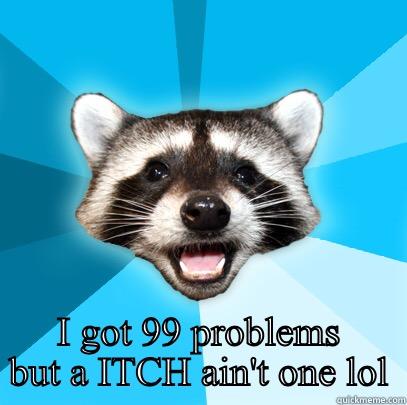  I GOT 99 PROBLEMS BUT A ITCH AIN'T ONE LOL Lame Pun Coon