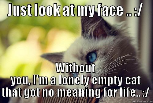 JUST LOOK AT MY FACE .. :/ WITHOUT YOU, I'M A LONELY EMPTY CAT THAT GOT NO MEANING FOR LIFE.. :/ First World Problems Cat