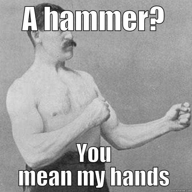 A HAMMER? YOU MEAN MY HANDS overly manly man