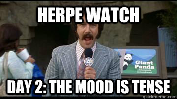 Herpe WAtch Day 2: The mood is tense - Herpe WAtch Day 2: The mood is tense  panda watch
