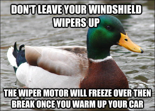 Don't leave your windshield wipers up The wiper motor will freeze over then break once you warm up your car  Actual Advice Mallard