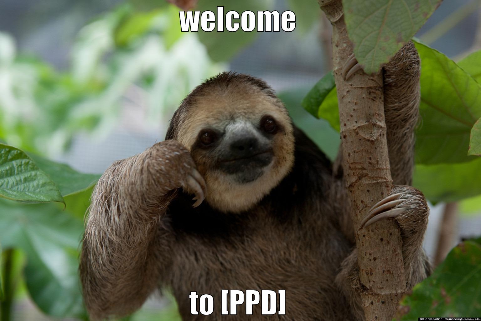 WELCOME TO [PPD] Misc