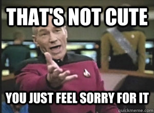 that's not cute you just feel sorry for it  Annoyed Picard