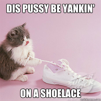 Dis Pussy Be Yankin' on a shoelace - Dis Pussy Be Yankin' on a shoelace  Yankin Pussy