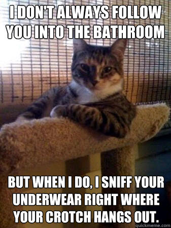 I don't always follow you into the bathroom but when I do, I sniff your underwear right where your crotch hangs out.  The Most Interesting Cat in the World