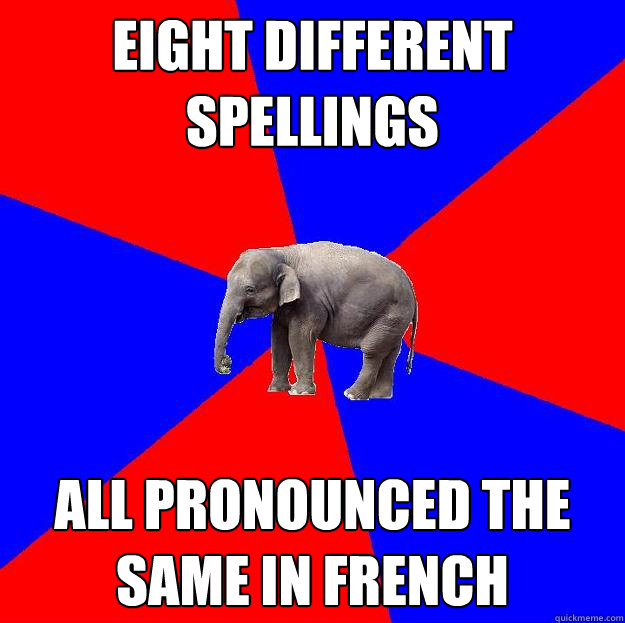 Eight different spellings all pronounced the same in French - Eight different spellings all pronounced the same in French  Foreign language elephant