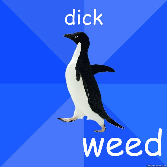 dick weed  Socially Awkward Penguin