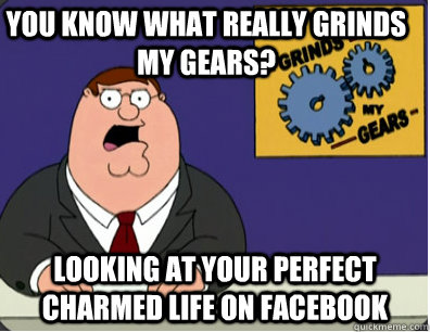 you know what really grinds my gears? looking at your perfect charmed life on facebook  Grinds my gears