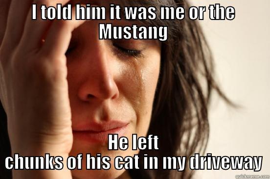 I TOLD HIM IT WAS ME OR THE MUSTANG HE LEFT CHUNKS OF HIS CAT IN MY DRIVEWAY First World Problems
