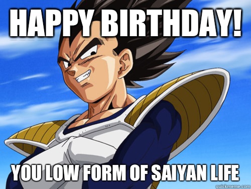 Happy Birthday!  You low form of saiyan life - Happy Birthday!  You low form of saiyan life  Insulating Vegeta