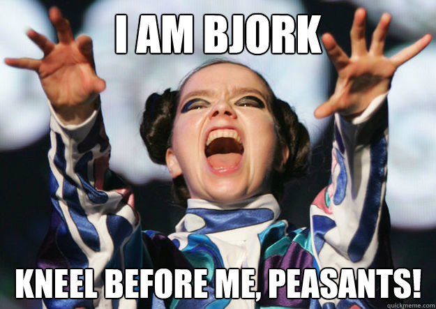 I am Bjork KNEEL BEFORE ME, PEASANTS!  Bjork Wizard