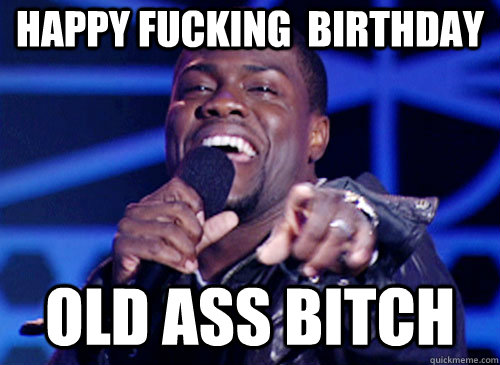 happy Fucking  birthday  old ass bitch - happy Fucking  birthday  old ass bitch  Laughing at YOUR pain!  Kevin Hart