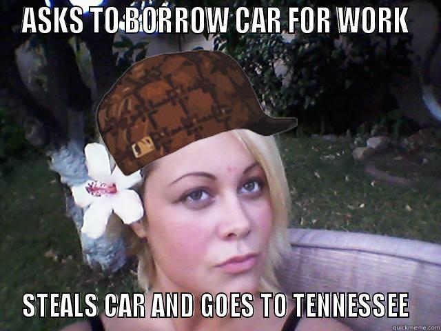 ASKS TO BORROW CAR FOR WORK  STEALS CAR AND GOES TO TENNESSEE  Misc