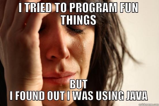 I TRIED TO PROGRAM FUN THINGS BUT I FOUND OUT I WAS USING JAVA First World Problems