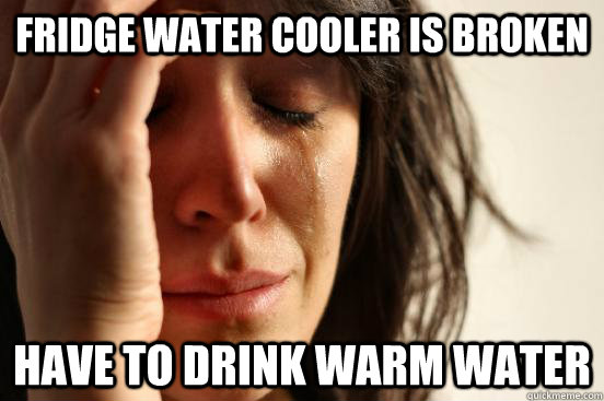 Fridge water cooler is broken Have to drink warm water  First World Problems