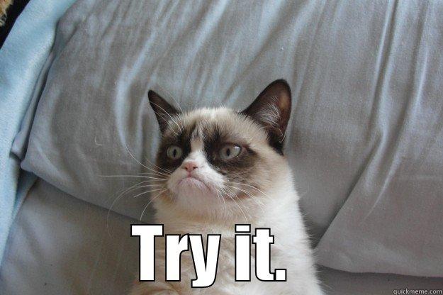  TRY IT.  Grumpy Cat