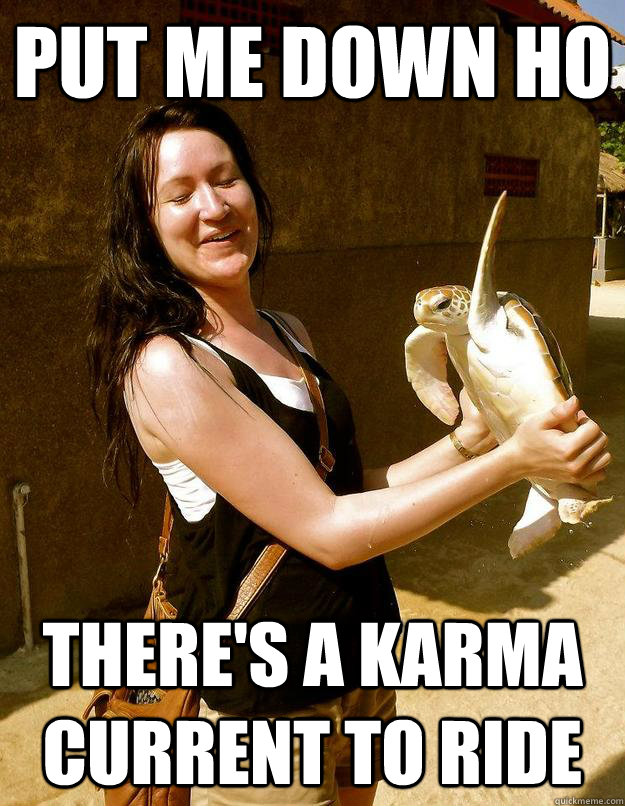 Put me down ho there's a karma current to ride  Domestic Violence Turtle