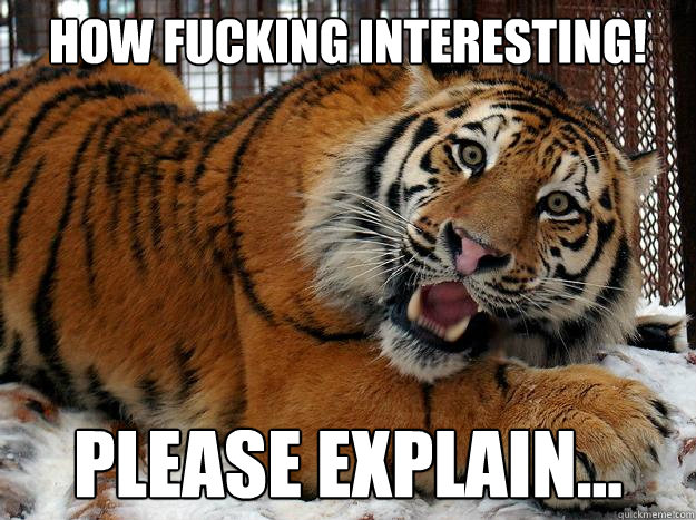 How Fucking Interesting! Please Explain... - How Fucking Interesting! Please Explain...  Fascinated Tiger