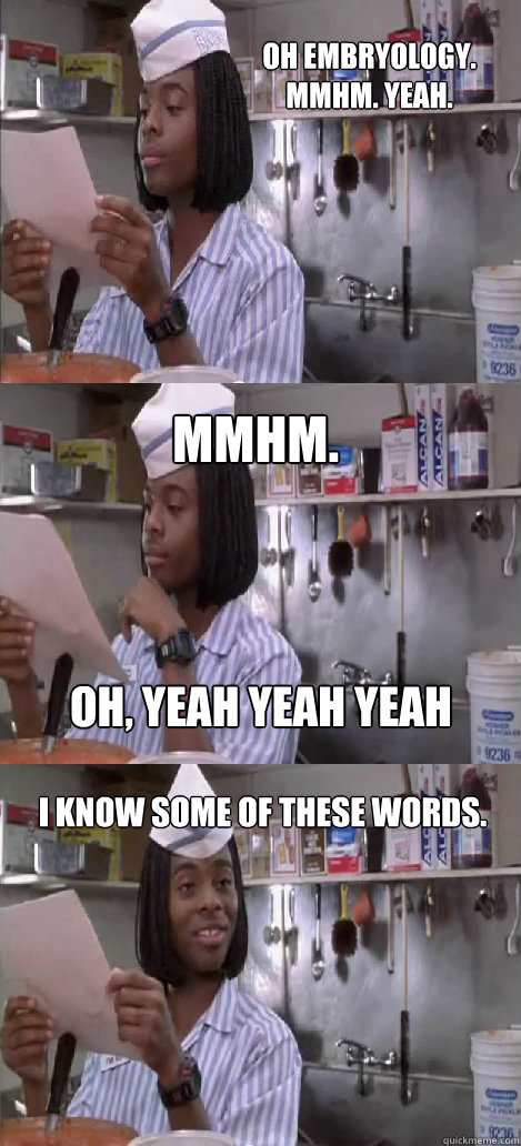 Oh embryology.
mmhm. yeah. mmhm.  I know some of these words. oh, yeah yeah yeah - Oh embryology.
mmhm. yeah. mmhm.  I know some of these words. oh, yeah yeah yeah  Oblivious Good Burger