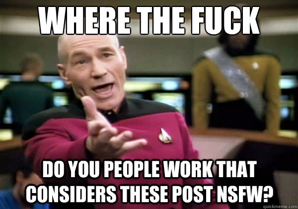 Where the fuck Do you people work that considers these post nsfw?  Why The Fuck Picard