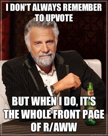 I don't always remember  to upvote But when I do, it's the whole front page of r/aww  The Most Interesting Man In The World