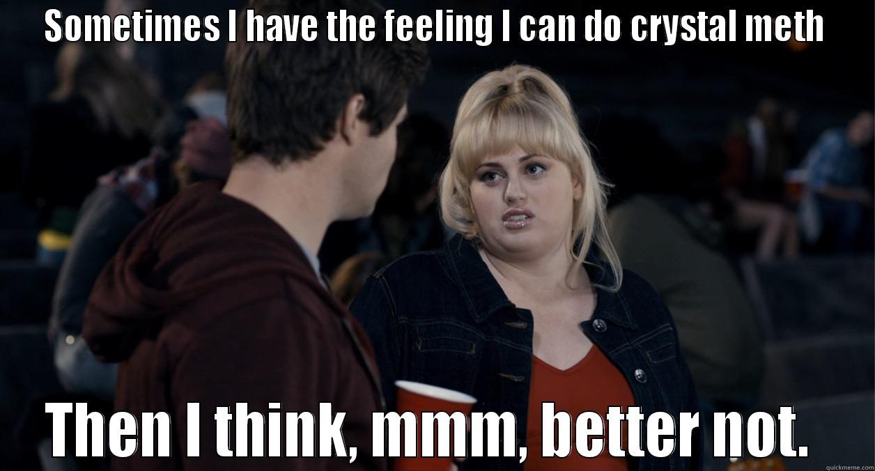 Fat Amy meets Tony Abbot - SOMETIMES I HAVE THE FEELING I CAN DO CRYSTAL METH THEN I THINK, MMM, BETTER NOT.  Misc