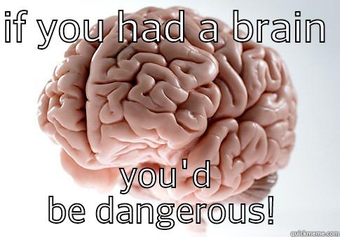 must dumb! - IF YOU HAD A BRAIN  YOU'D BE DANGEROUS!  Scumbag Brain