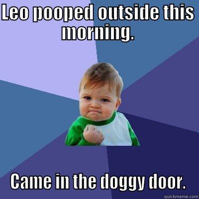 LEO POOPED OUTSIDE THIS MORNING. CAME IN THE DOGGY DOOR. Success Kid