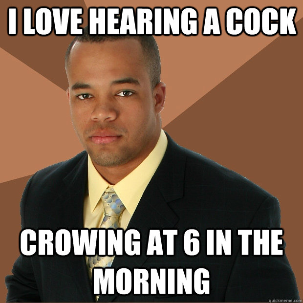 I love hearing a cock crowing at 6 in the morning  Successful Black Man