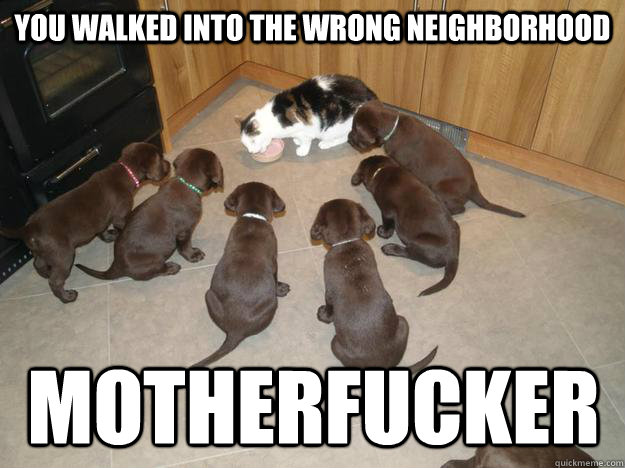 you walked into the wrong neighborhood motherfucker - you walked into the wrong neighborhood motherfucker  Misc