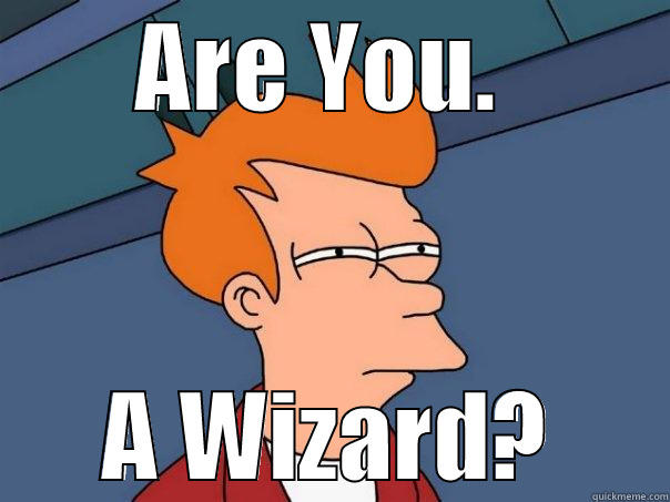 ARE YOU.  A WIZARD? Futurama Fry