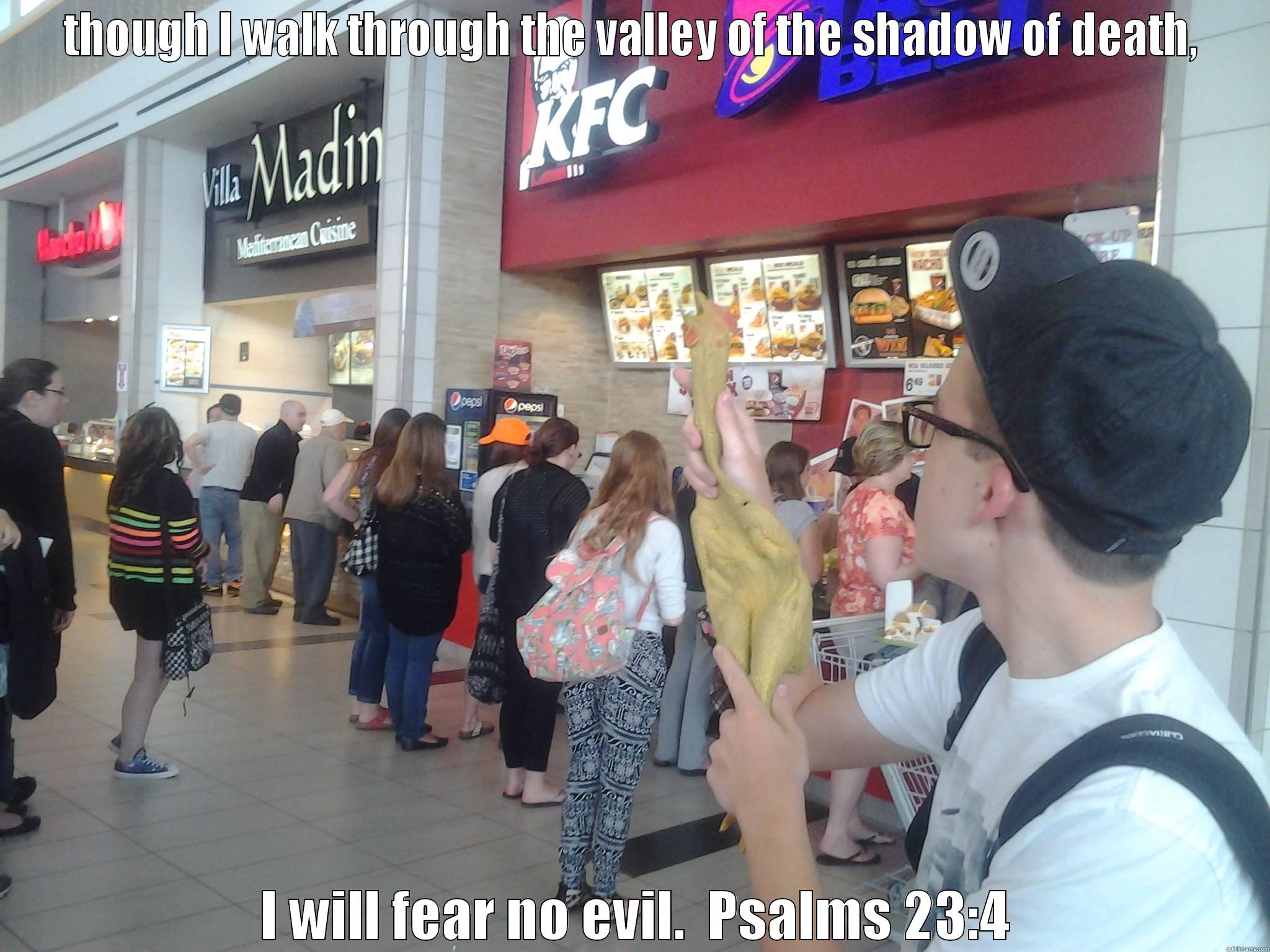 THOUGH I WALK THROUGH THE VALLEY OF THE SHADOW OF DEATH,  I WILL FEAR NO EVIL.  PSALMS 23:4 Misc