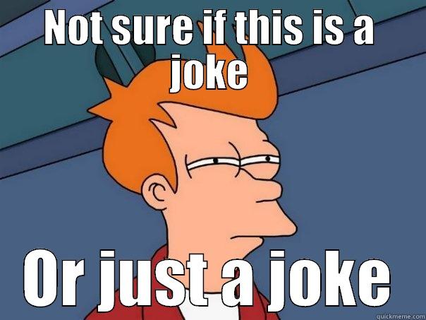 NOT SURE IF THIS IS A JOKE OR JUST A JOKE Futurama Fry