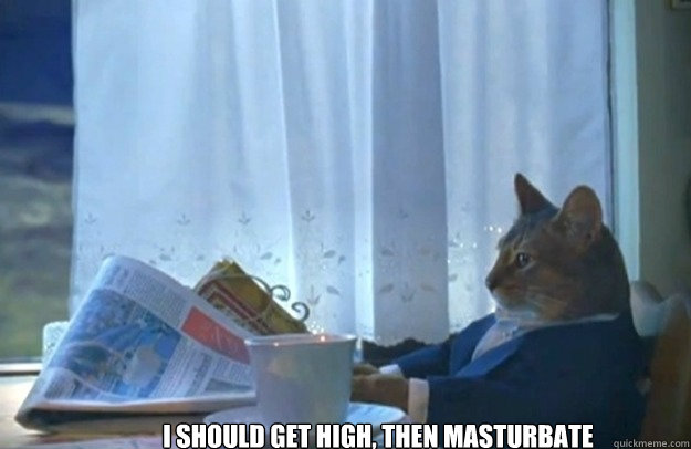 I should get high, then masturbate  Sophisticated Cat
