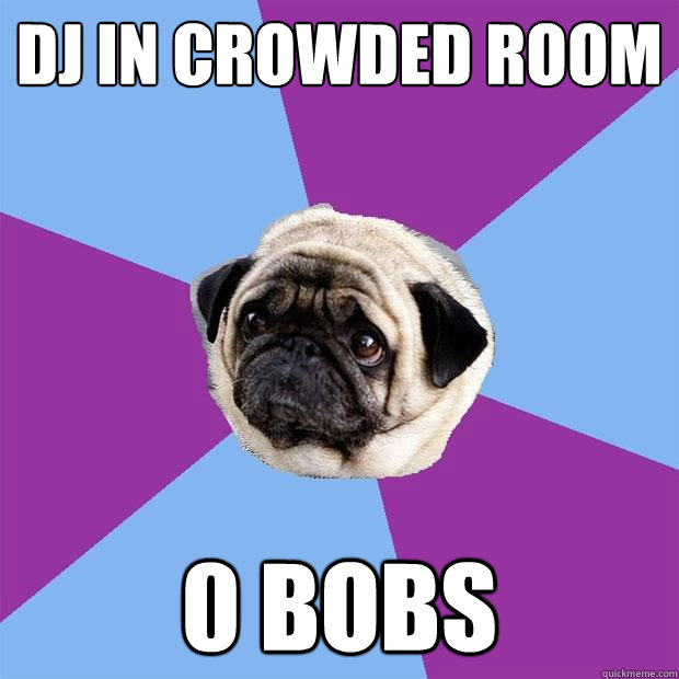 DJ in Crowded room 0 Bobs  Lonely Pug