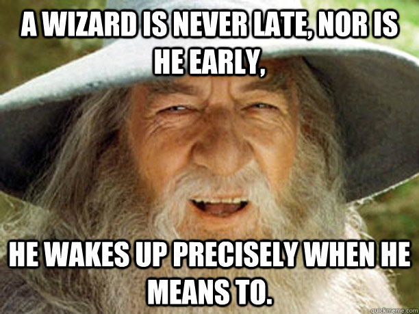 a wizard is never late, nor is he early, he wakes up precisely when he means to. - a wizard is never late, nor is he early, he wakes up precisely when he means to.  Gandalf