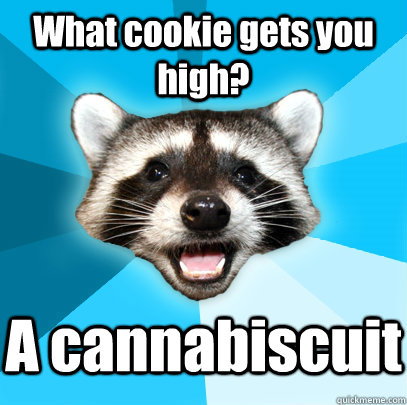 What cookie gets you high? A cannabiscuit  Lame Pun Coon