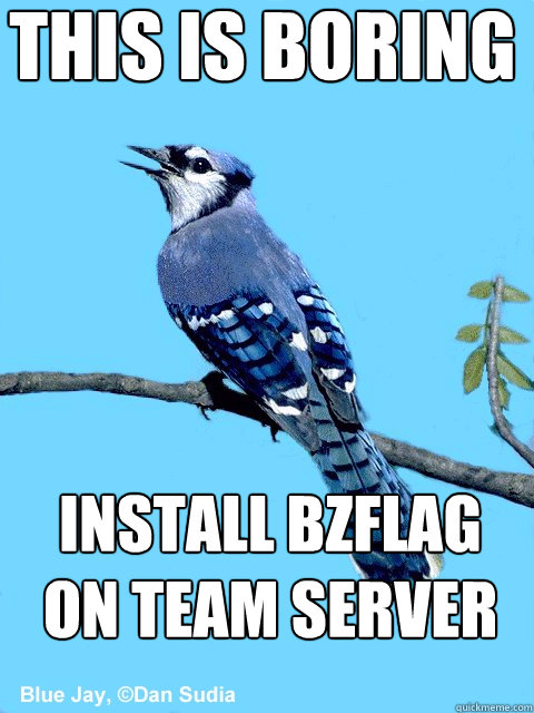 this is boring install bzflag on team server  Blue Team Bird