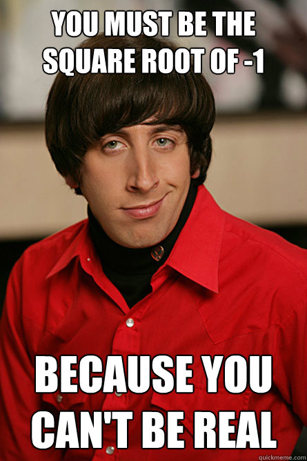 You must be the square root of -1 because you can't be real  Pickup Line Scientist