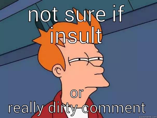 NOT SURE IF INSULT OR REALLY DIRTY COMMENT Futurama Fry