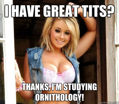 I have great tits? Thanks, I'm studying ornithology!  