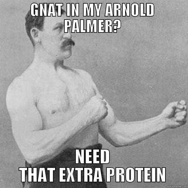 GNAT IN MY ARNOLD PALMER? NEED THAT EXTRA PROTEIN overly manly man
