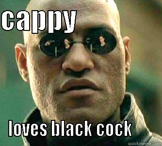 CAPPY                 LOVES BLACK COCK       Matrix Morpheus